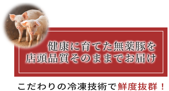 MVcatch